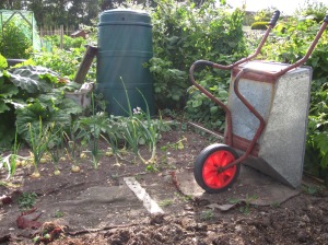 Wheelbarrow and fruit and vegetable plants on an allotment