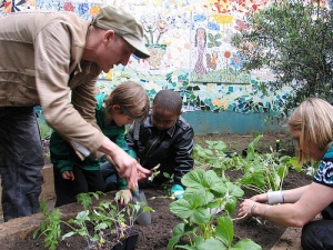 Local residents dig in to the community growing corner at Fortune Street Park in Islington